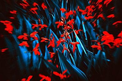 《光环》作曲师起诉微软 称没有被支付版税