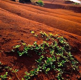 Xbox发布会：《极限竞速》新作23年春季公布